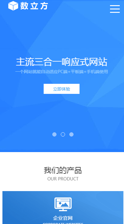网络公司网站